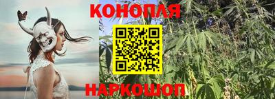 ПСИЛОЦИБИНОВЫЕ ГРИБЫ Северобайкальск