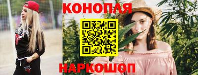 шишки Свободный