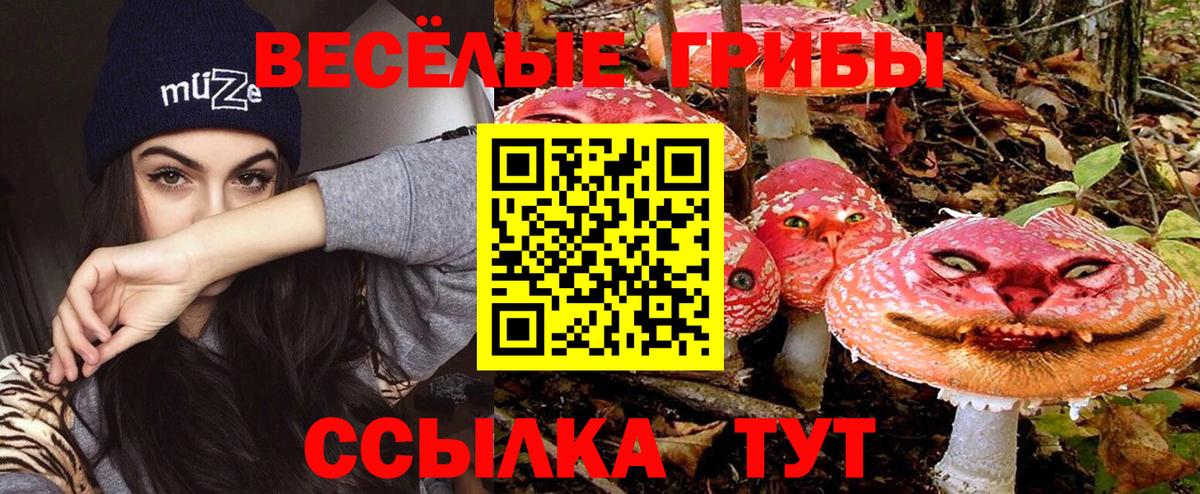 Галлюциногенные грибы Cubensis Печора
